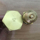 02250078-204 Thermostatic Valve for SULLAIR Screw Air Compressor FILME Compressor