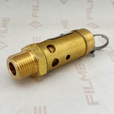 Safety Valve 39587951 39588017 23443716 for Ingersoll Rand Compressor FILME Compressor