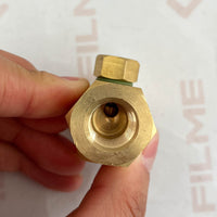 Check Valve 02250110-557 Suitable for Sullair Air Compressor FILME Compressor