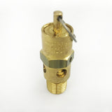 1312100889 Relief Valve 025P 100PSI Suitable for Atlas Copco Quincy Replacement