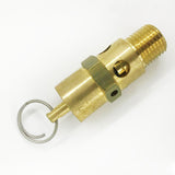 1312100889 Relief Valve 025P 100PSI Suitable for Atlas Copco Quincy Replacement