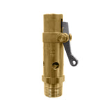 141966-21 Relief Valve 050P 165PSI Suitable for Quincy Compressor Replacement