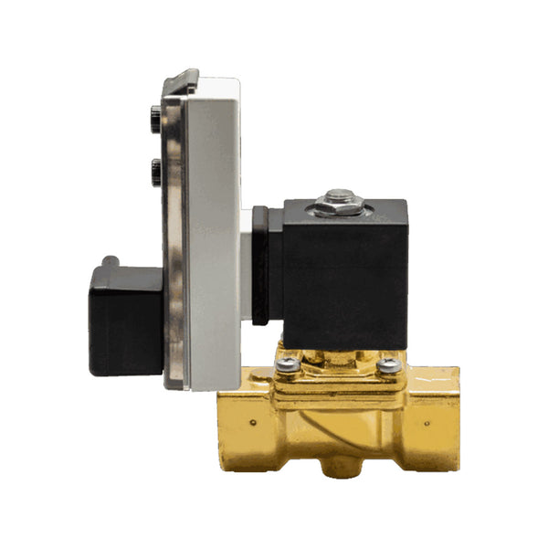 E4B15-00V Electric Solenoid Drain Valve Suitable for Granzow Replacement FILME Compressor