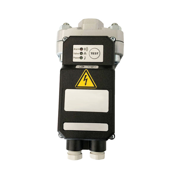 1625855181 Electric Auto Drain Valve Suitable for Atlas Copco Compressor 1625-8551-81 FILME Compressor