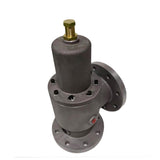 1625166206 Minimum Pressure Valve Suitable for Atlas Copco Compressor Replacement 1625-1662-06