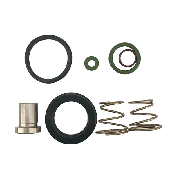 02250077-469 Blowdown Valve Service Kit for SULLAIR Compressor FILME Compressor